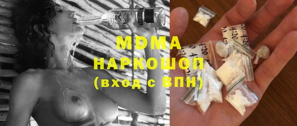 индика Инсар