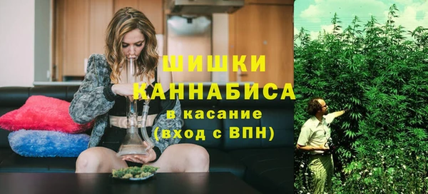 индика Иннополис