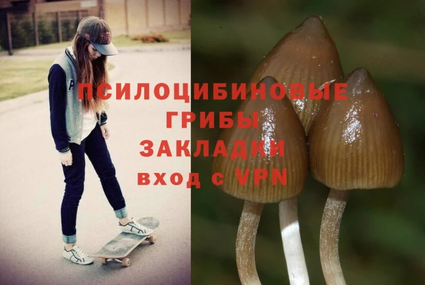 mdma Зеленокумск