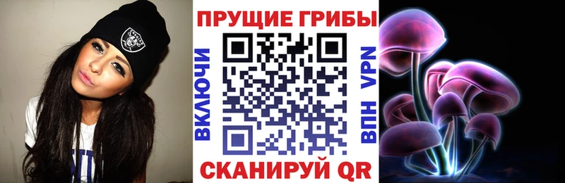 Псилоцибиновые грибы мицелий  Купить где  Артёмовский 